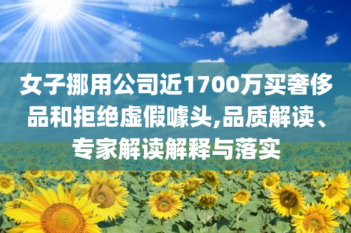 女子挪用公司近1700萬(wàn)買奢侈品和拒絕虛假噱頭,品質(zhì)解讀、專家解讀解釋與落實(shí)