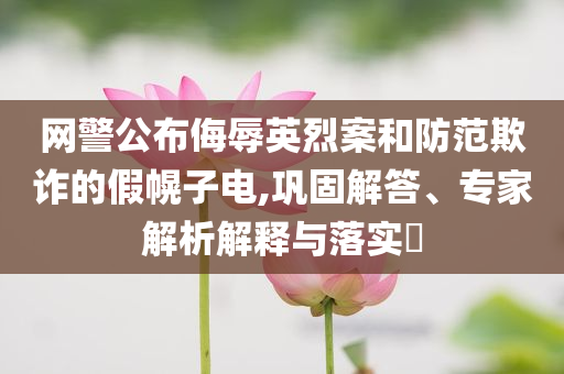 網(wǎng)警公布侮辱英烈案和防范欺詐的假幌子電,鞏固解答、專家解析解釋與落實(shí)?