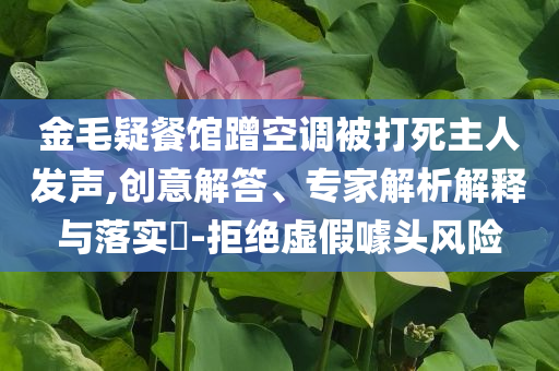 金毛疑餐館蹭空調(diào)被打死主人發(fā)聲,創(chuàng)意解答、專家解析解釋與落實(shí)?-拒絕虛假噱頭風(fēng)險(xiǎn)