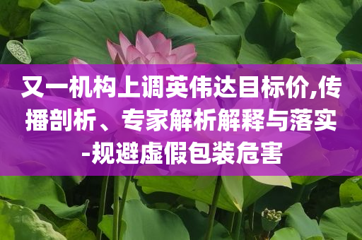 又一機(jī)構(gòu)上調(diào)英偉達(dá)目標(biāo)價(jià),傳播剖析、專家解析解釋與落實(shí)-規(guī)避虛假包裝危害