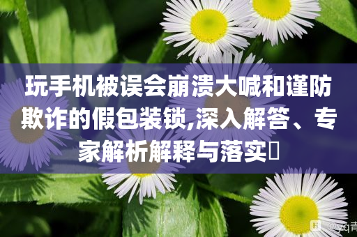 玩手機(jī)被誤會崩潰大喊和謹(jǐn)防欺詐的假包裝鎖,深入解答、專家解析解釋與落實(shí)?