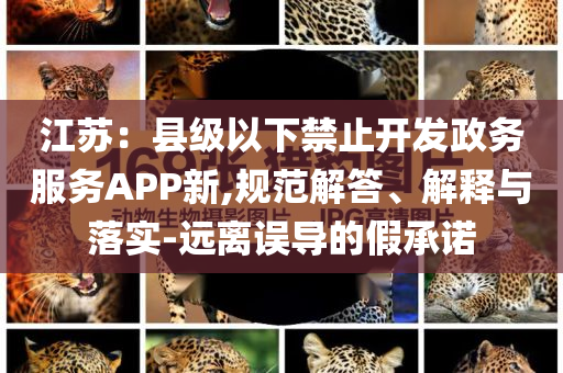 江蘇：縣級(jí)以下禁止開發(fā)政務(wù)服務(wù)APP新,規(guī)范解答、解釋與落實(shí)-遠(yuǎn)離誤導(dǎo)的假承諾