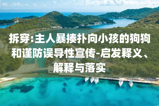 拆穿:主人暴揍撲向小孩的狗狗和謹(jǐn)防誤導(dǎo)性宣傳-啟發(fā)釋義、解釋與落實(shí)