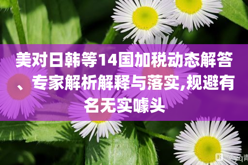 美對日韓等14國加稅動態(tài)解答、專家解析解釋與落實(shí),規(guī)避有名無實(shí)噱頭