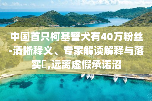 中國首只柯基警犬有40萬粉絲-清晰釋義、專家解讀解釋與落實(shí)?,遠(yuǎn)離虛假承諾沼