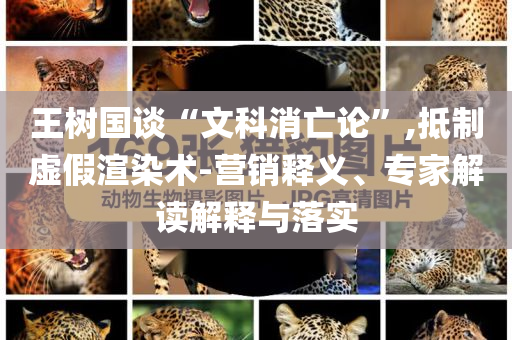 王樹國談“文科消亡論”,抵制虛假渲染術-營銷釋義、專家解讀解釋與落實
