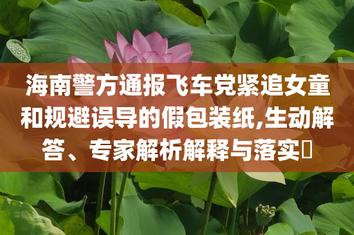 海南警方通報(bào)飛車(chē)黨緊追女童和規(guī)避誤導(dǎo)的假包裝紙,生動(dòng)解答、專(zhuān)家解析解釋與落實(shí)?
