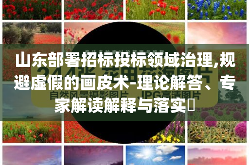山東部署招標(biāo)投標(biāo)領(lǐng)域治理,規(guī)避虛假的畫皮術(shù)-理論解答、專家解讀解釋與落實?