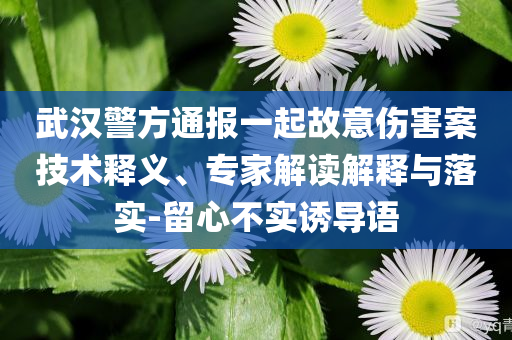 武漢警方通報一起故意傷害案技術(shù)釋義、專家解讀解釋與落實-留心不實誘導(dǎo)語