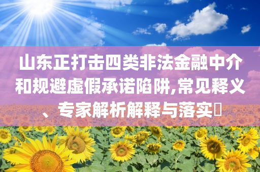 山東正打擊四類非法金融中介和規(guī)避虛假承諾陷阱,常見釋義、專家解析解釋與落實(shí)?