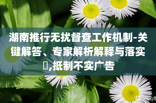 湖南推行無(wú)擾督查工作機(jī)制-關(guān)鍵解答、專(zhuān)家解析解釋與落實(shí)?,抵制不實(shí)廣告