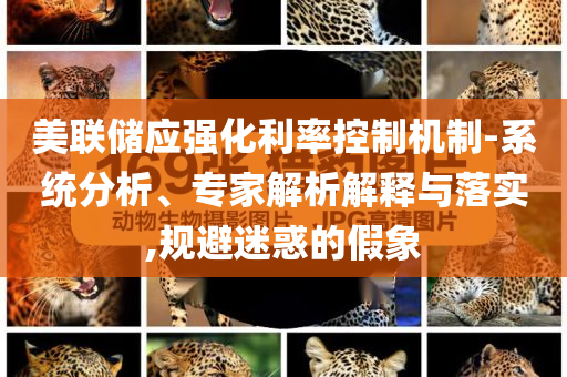 美聯(lián)儲(chǔ)應(yīng)強(qiáng)化利率控制機(jī)制-系統(tǒng)分析、專(zhuān)家解析解釋與落實(shí),規(guī)避迷惑的假象