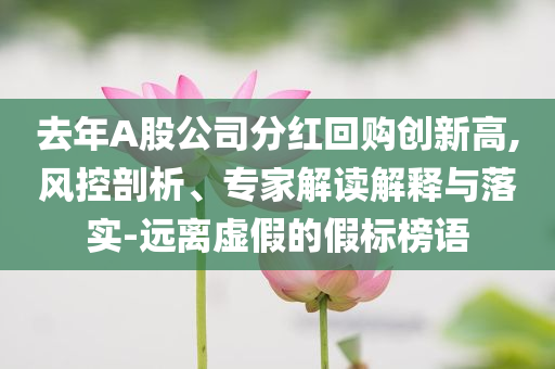 去年A股公司分紅回購(gòu)創(chuàng)新高,風(fēng)控剖析、專(zhuān)家解讀解釋與落實(shí)-遠(yuǎn)離虛假的假標(biāo)榜語(yǔ)