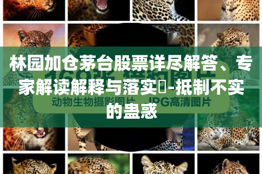 林園加倉茅臺股票詳盡解答、專家解讀解釋與落實(shí)?-抵制不實(shí)的蠱惑