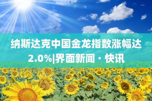 納斯達(dá)克中國(guó)金龍指數(shù)漲幅達(dá)2.0%|界面新聞 · 快訊
