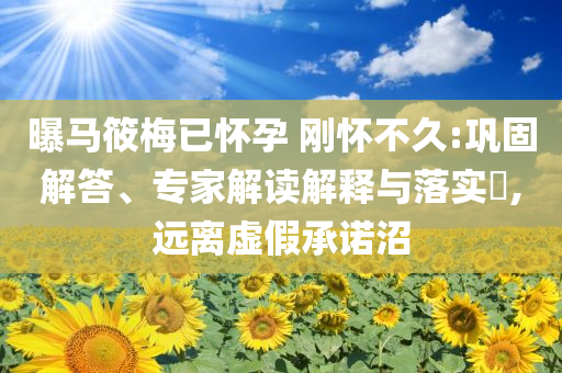 曝馬筱梅已懷孕 剛懷不久:鞏固解答、專家解讀解釋與落實?,遠離虛假承諾沼