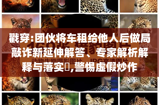 戳穿:團伙將車租給他人后做局敲詐新延伸解答、專家解析解釋與落實?,警惕虛假炒作