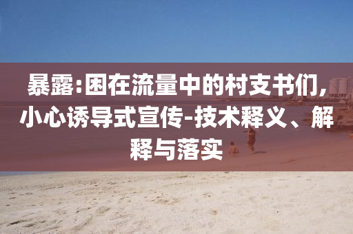 暴露:困在流量中的村支書們,小心誘導(dǎo)式宣傳-技術(shù)釋義、解釋與落實