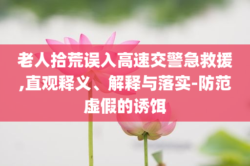 老人拾荒誤入高速交警急救援,直觀釋義、解釋與落實-防范虛假的誘餌