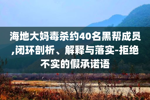 海地大媽毒殺約40名黑幫成員,閉環(huán)剖析、解釋與落實(shí)-拒絕不實(shí)的假承諾語(yǔ)