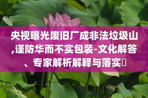央視曝光廢舊廠成非法垃圾山,謹(jǐn)防華而不實(shí)包裝-文化解答、專家解析解釋與落實(shí)?
