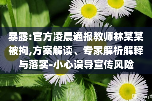 暴露:官方凌晨通報教師林某某被拘,方案解讀、專家解析解釋與落實-小心誤導宣傳風險