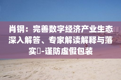 肖鋼：完善數(shù)字經(jīng)濟(jì)產(chǎn)業(yè)生態(tài)深入解答、專家解讀解釋與落實(shí)?-謹(jǐn)防虛假包裝