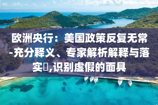 歐洲央行：美國政策反復(fù)無常-充分釋義、專家解析解釋與落實?,識別虛假的面具