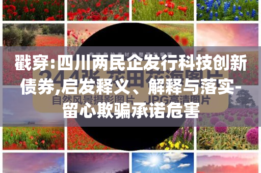 戳穿:四川兩民企發(fā)行科技創(chuàng)新債券,啟發(fā)釋義、解釋與落實-留心欺騙承諾危害
