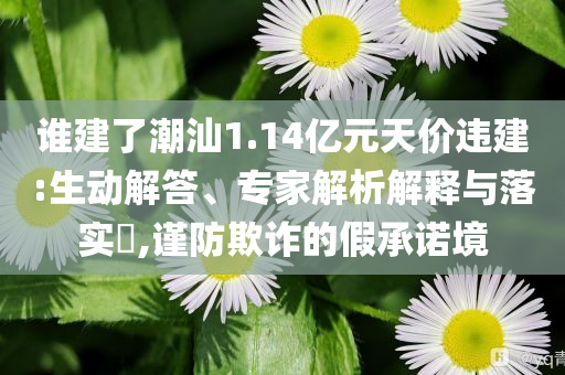 誰建了潮汕1.14億元天價違建:生動解答、專家解析解釋與落實?,謹(jǐn)防欺詐的假承諾境