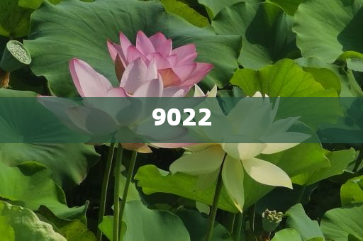 戳穿:女子洗澡時(shí)從香皂里洗出金幣通俗釋義、專家解析解釋與落實(shí)?-抵制誤導(dǎo)的假把式