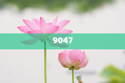 魏建軍稱35歲不應(yīng)該是終點(diǎn),拒絕虛假推銷阱-效率解讀、專家解析解釋與落實(shí)