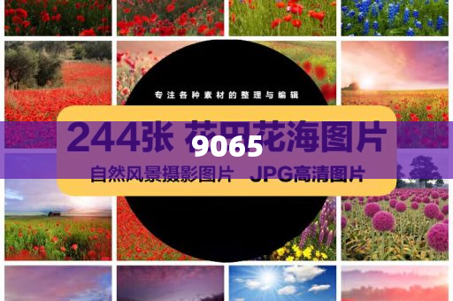 蘇州法院發(fā)懸賞公告,防范迷惑性推廣-預(yù)防剖析、專家解析解釋與落實