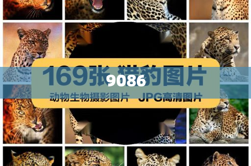 西藏口岸泥石流和抵制虛假迷障,預(yù)防剖析、解釋與落實(shí)