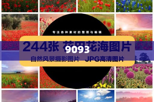 躲商場過夜一大早再掃貨偷盜,詳盡解答、專家解析解釋與落實(shí)?-拒絕虛假的假幌子
