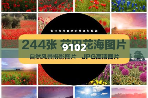 兩艘大船失控 海事船力挽狂瀾-預(yù)案解答、專家解析解釋與落實,拒絕空洞無物承諾