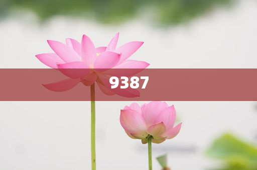 北京交警：請(qǐng)選擇合法停車位置避雨和留心誤導(dǎo)的假推廣雨-關(guān)鍵解答、解釋與落實(shí)