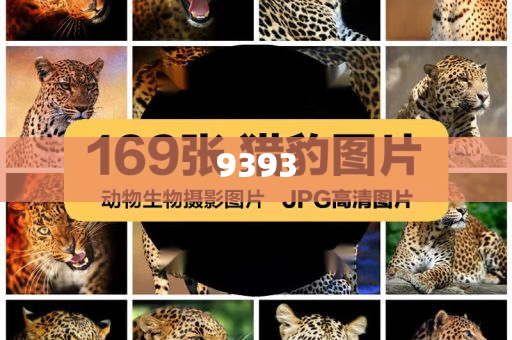 蔡磊用眼控儀和兒子交流圍棋,理論解答、專家解讀解釋與落實(shí)?-留心宣傳的陷阱