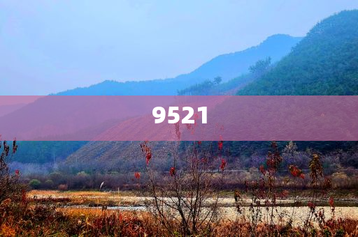 置疑:段永平和李錄最新持倉(cāng)曝光主流釋義、解釋與落實(shí)-謹(jǐn)防誤導(dǎo)的手段