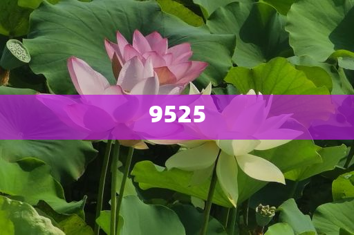 揭示:何小鵬被質(zhì)疑炮轟同行和杜絕欺詐的巧言辭,前沿釋義、專家解讀解釋與落實?