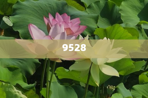 新奧天天開獎資料大全600tKm和遠離不實的誘惑-效能解讀、專家解讀解釋與落實