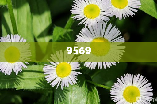 迪士尼鑰匙圈被炒到一個499元創(chuàng)意解答、專家解讀解釋與落實?,遠離誤導(dǎo)的假承諾