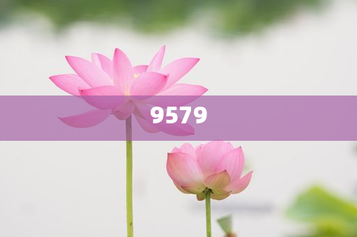 拆穿:楊紫抖音追劇團(tuán)live級美貌升級分析、專家解讀解釋與落實(shí),防范夸張幌子危害