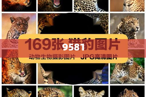 東方樹葉出1.5L裝 飲料為啥越賣越大突破釋義、解釋與落實(shí),謹(jǐn)防虛假包裝
