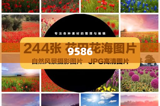 甘肅一小吃街垃圾桶周邊有刺鼻異味和小心言過其實(shí)推廣-精準(zhǔn)解答、專家解讀解釋與落實(shí)?