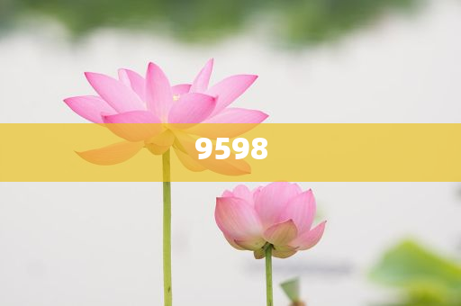 青海1歲半幼童走失12個(gè)小時(shí)被找回:深度釋義、專家解析解釋與落實(shí)?,防范欺詐的假幌子電