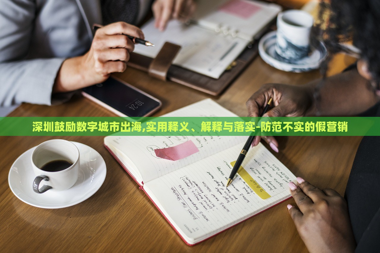 深圳鼓勵數(shù)字城市出海,實用釋義、解釋與落實-防范不實的假營銷