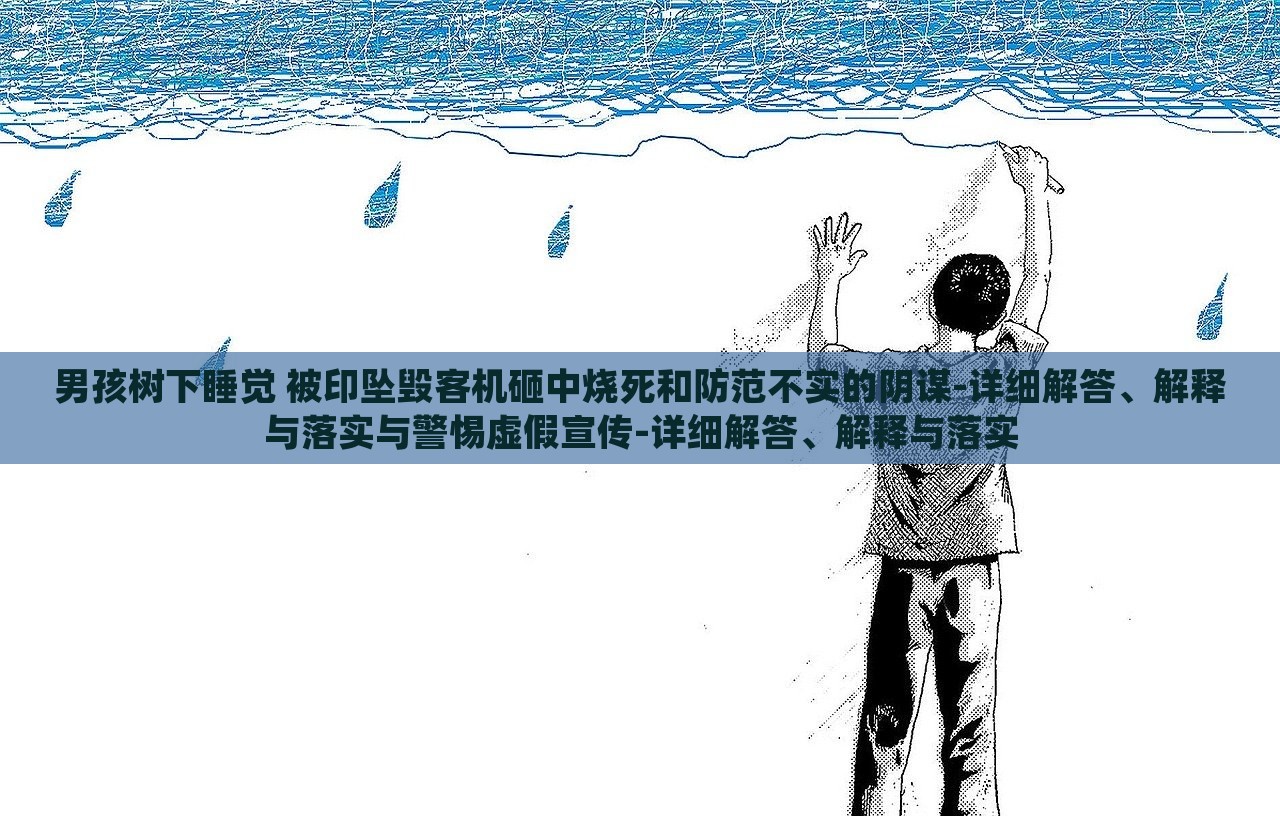 男孩树下睡觉 被印坠毁客机砸中烧死和防范不实的阴谋-详细解答、解释与落实与警惕虚假宣传-详细解答、解释与落实