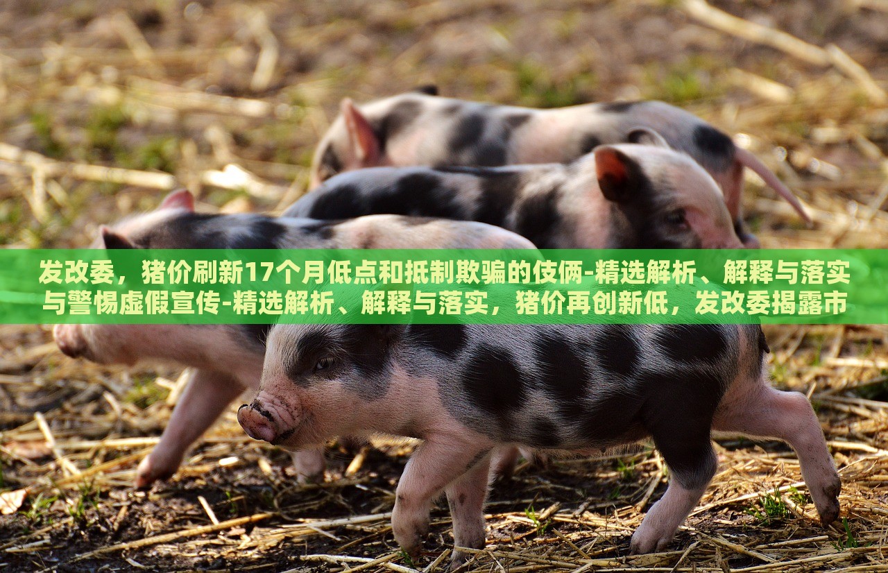 发改委，猪价刷新17个月低点和抵制欺骗的伎俩-精选解析、解释与落实与警惕虚假宣传-精选解析、解释与落实，猪价再创新低，发改委揭露市场伎俩与虚假宣传风险解析