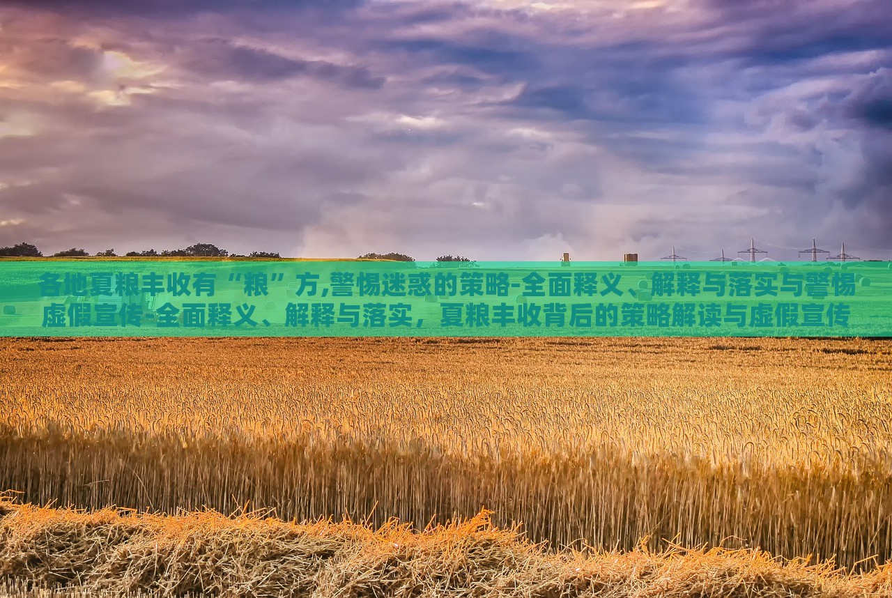各地夏粮丰收有“粮”方,警惕迷惑的策略-全面释义、解释与落实与警惕虚假宣传-全面释义、解释与落实，夏粮丰收背后的策略解读与虚假宣传警示